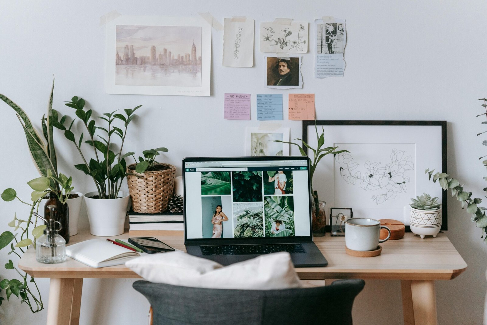 Social Media Management